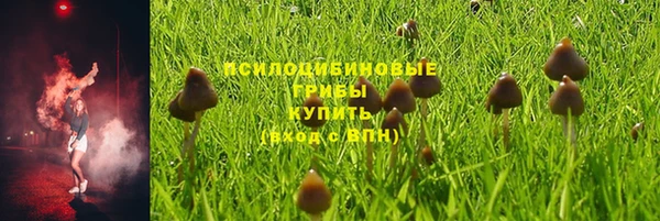 метадон Аркадак